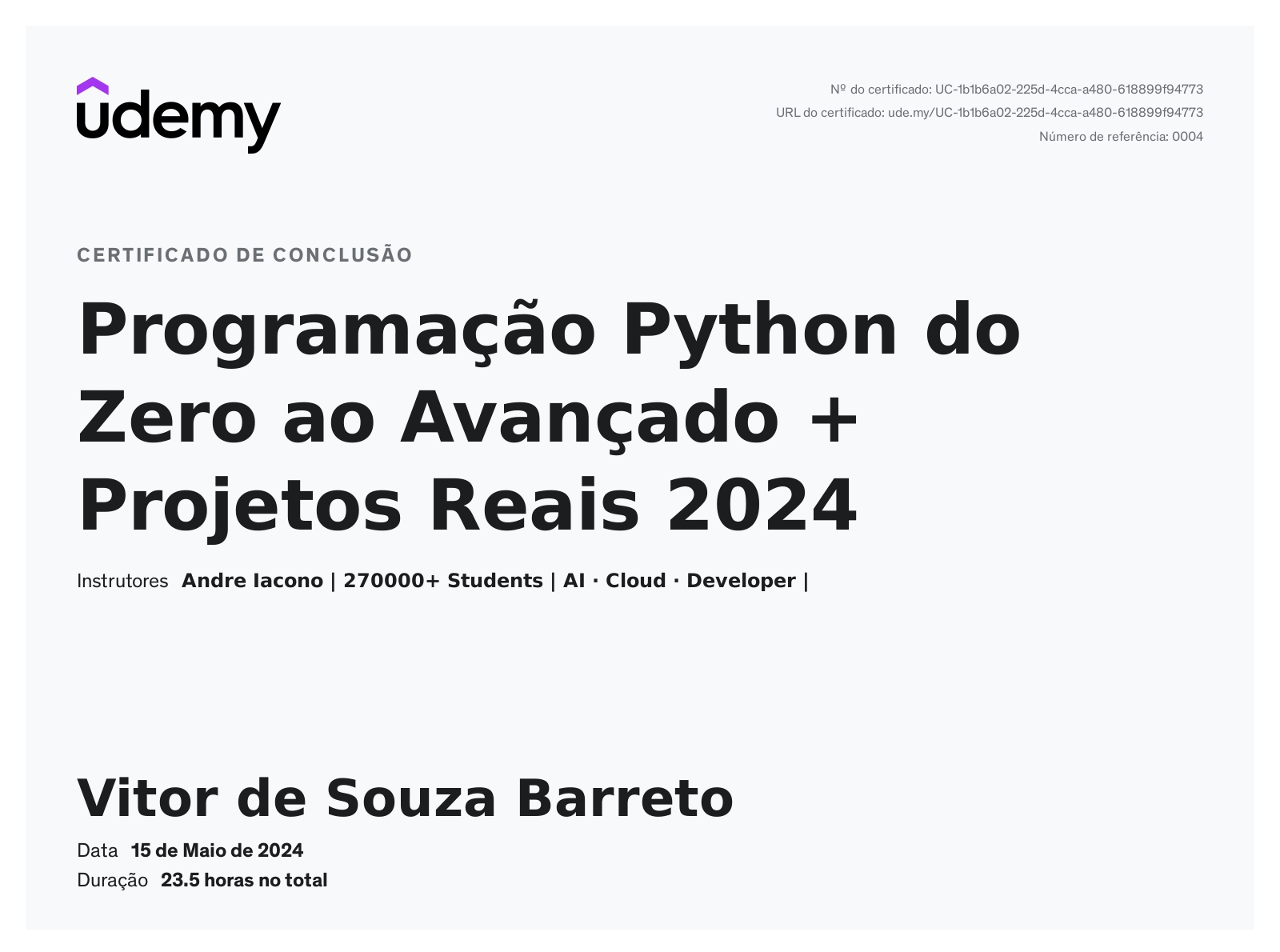 Programador Python